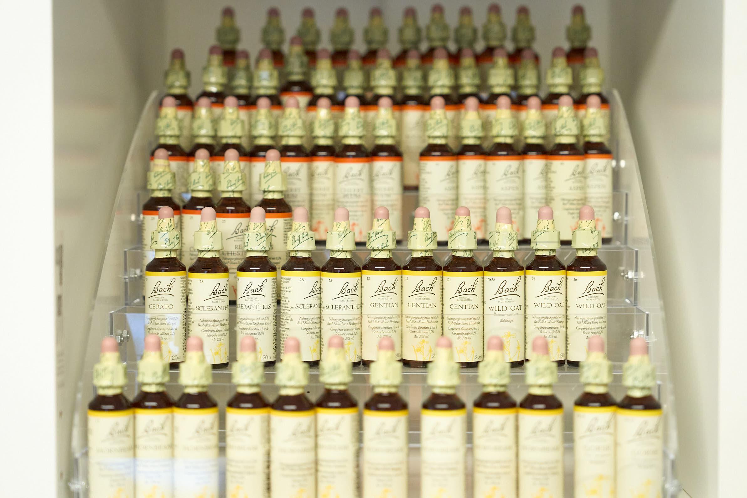 Proč Bachovy esence (ne)fungují? Tři kritické chyby, které vás připravují o šanci na změnu