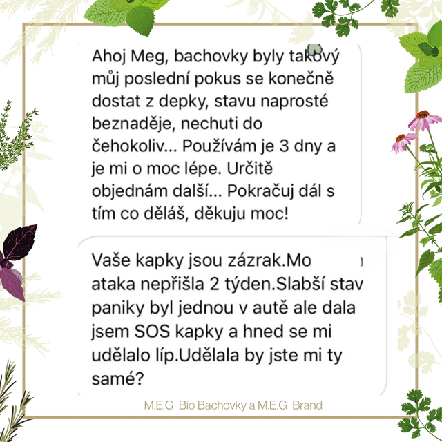 reviews/dep13.png