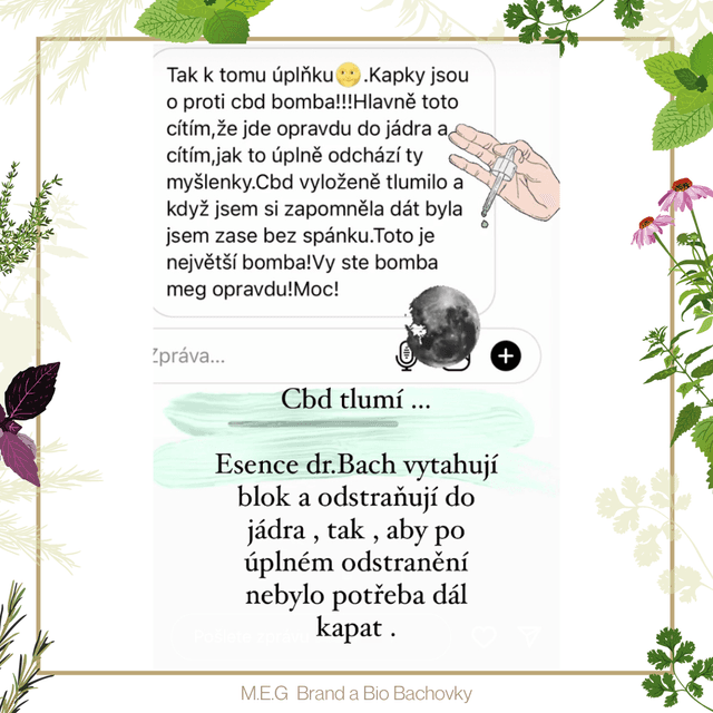 reviews/sp13.png