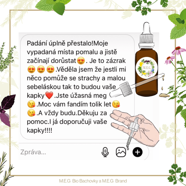 reviews/sr23.png