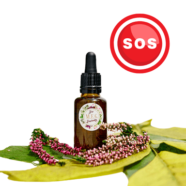 Product thumb gallery 1012