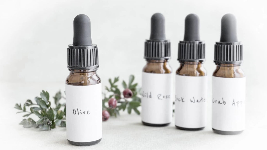 Zvažujete nákup Bachovek úplně poprvé?